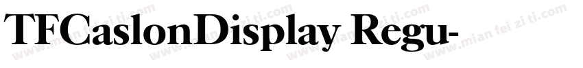 TFCaslonDisplay Regu字体转换
